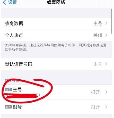 苹果12怎么开启volte功能