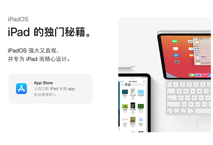 ipadpro2021和air4买哪款好