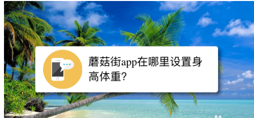 蘑菇街怎么添加自己的身高体重信息