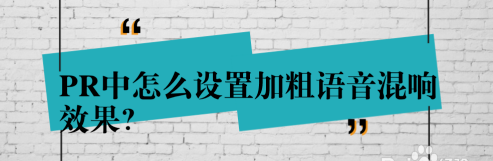 PR加粗语音混响效果如何设置