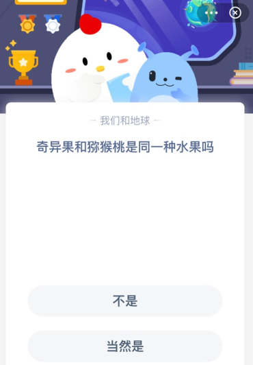 奇异果和猕猴桃是同一种水果吗？