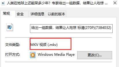 QLV怎么转成MKV格式视频