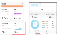 荣耀手环6可以测量血压吗