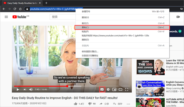 怎么下载YouTube字幕?