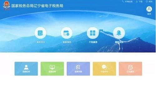 辽宁省电子税务局客户端