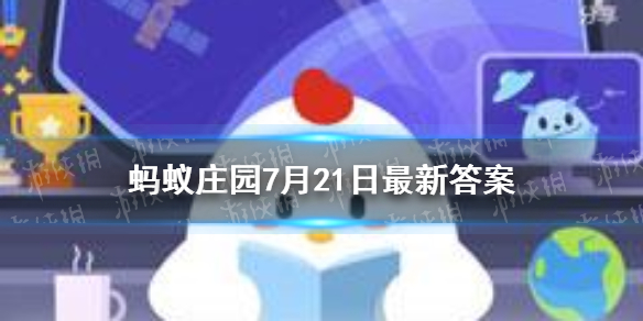 二师兄网1