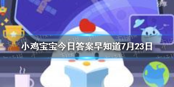 二师兄网1