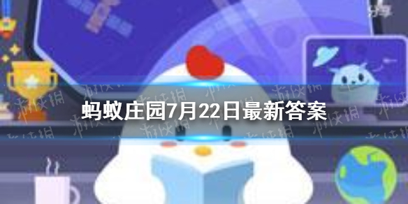 二师兄网1