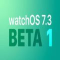 watchOS7.6正式版描述文件APP图标