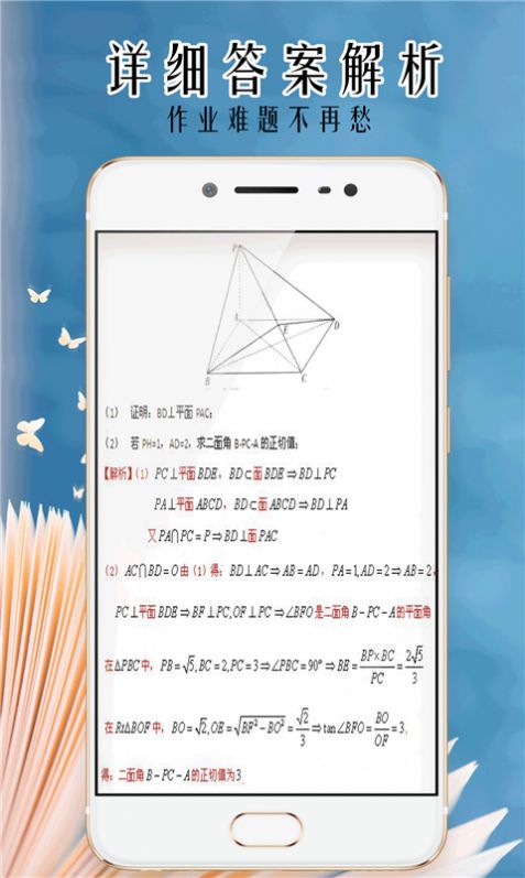 小笨鸟拍照搜题app