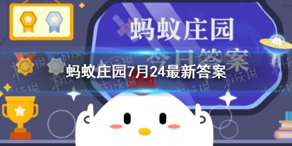 二师兄网1