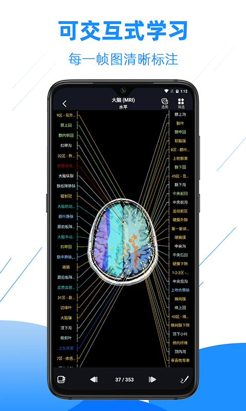 影像解剖图谱app安卓版下载APP截图