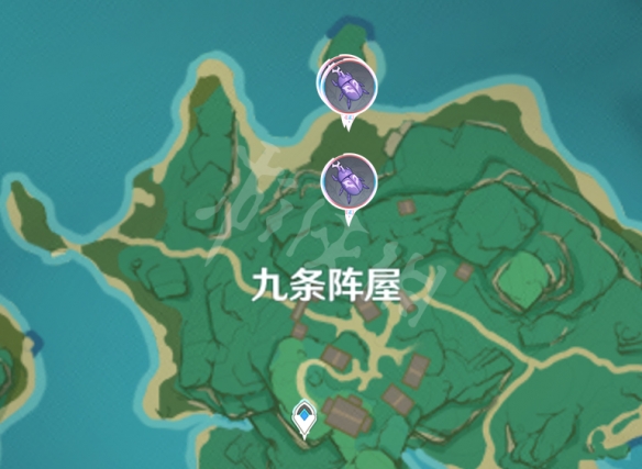 二师兄网5