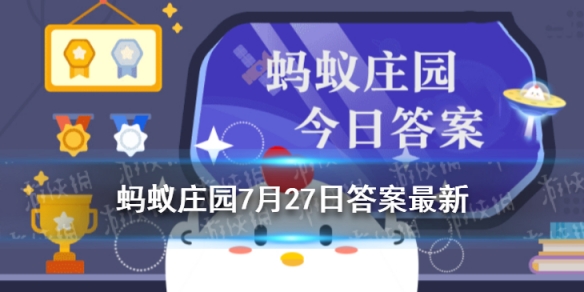 二师兄网1