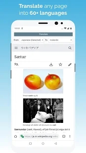 kiwibrowser浏览器APP截图