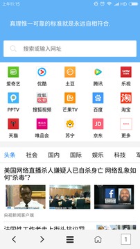 VIP浏览器安卓版最新APP截图