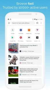 kiwibrowser浏览器APP截图