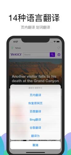 alook浏览器插件APP截图