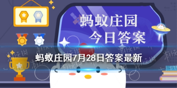 二师兄网1