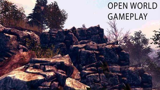 OPEN WORLD RPG