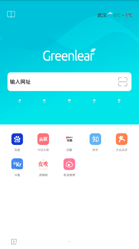 绿叶浏览器APP截图