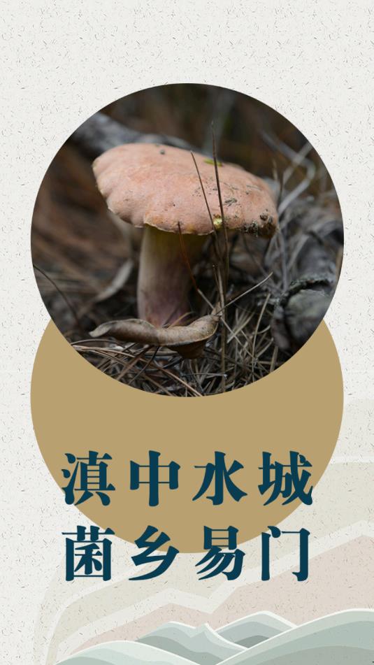 菌乡易门app