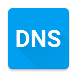 Pure DNS