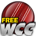 World Cricket Championship  Lt手游