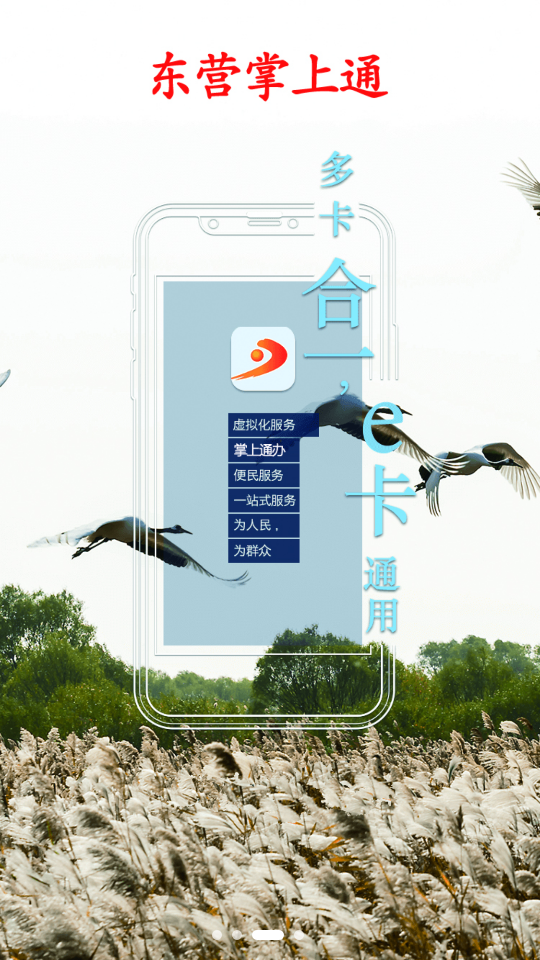 东营掌上通appAPP截图