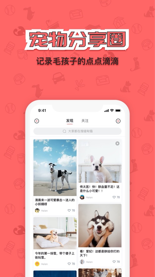 宠窝app