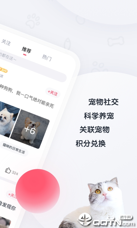 粉爪app