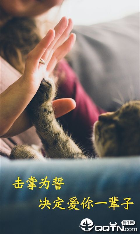 米族人猫交流器app