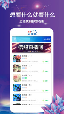 顺达信鸽APP截图