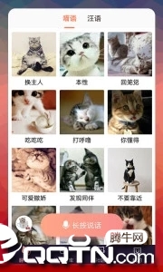 免费猫语翻译器