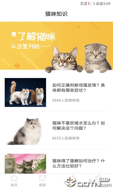 猫咪翻译器app