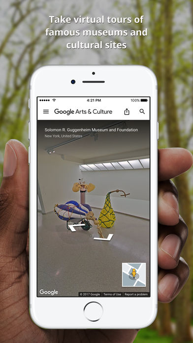 Google Arts Culture安卓版下载