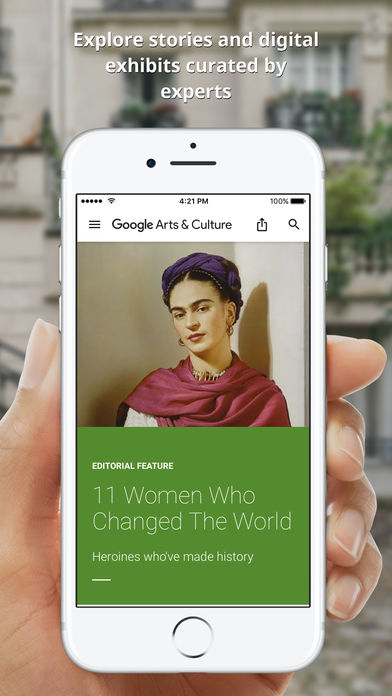 Google Arts Culture安卓版下载