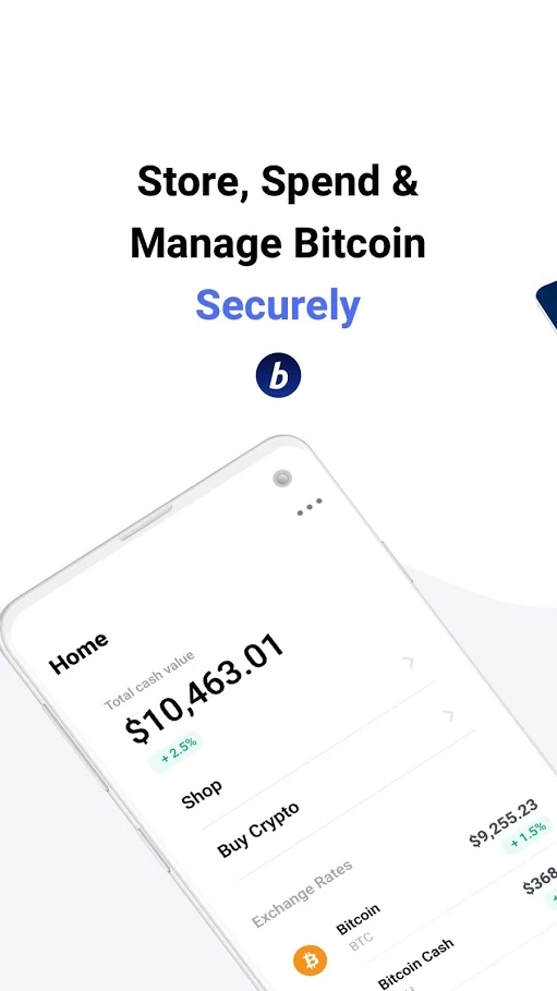 BitPay