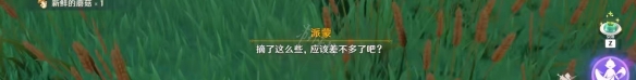 二师兄网4