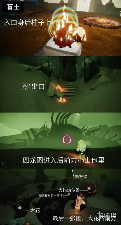 二师兄网8