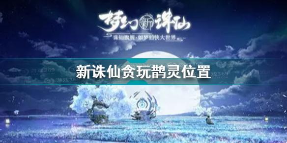 梦幻新诛仙贪玩鹊灵位置攻略 梦幻新诛仙贪玩鹊灵位置攻略