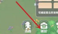 二师兄网3