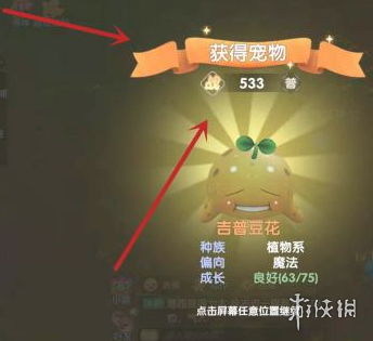 二师兄网5