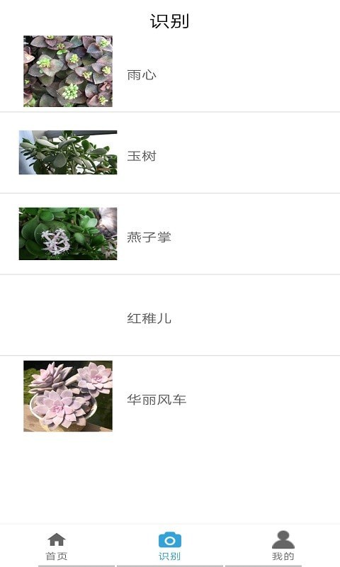 植物图鉴