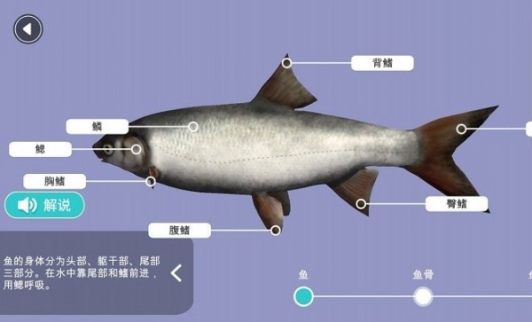 小学科学XR教室