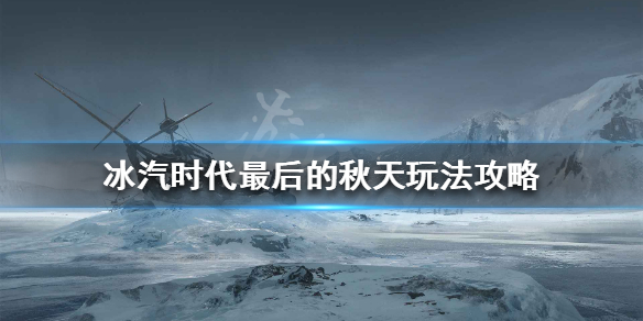 二师兄网1