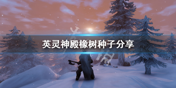 二师兄网1