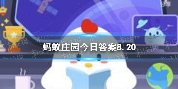 二师兄网1