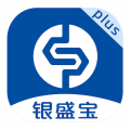 银盛宝Plus图标