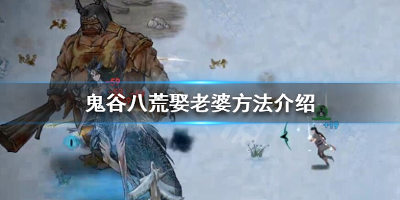 二师兄网1